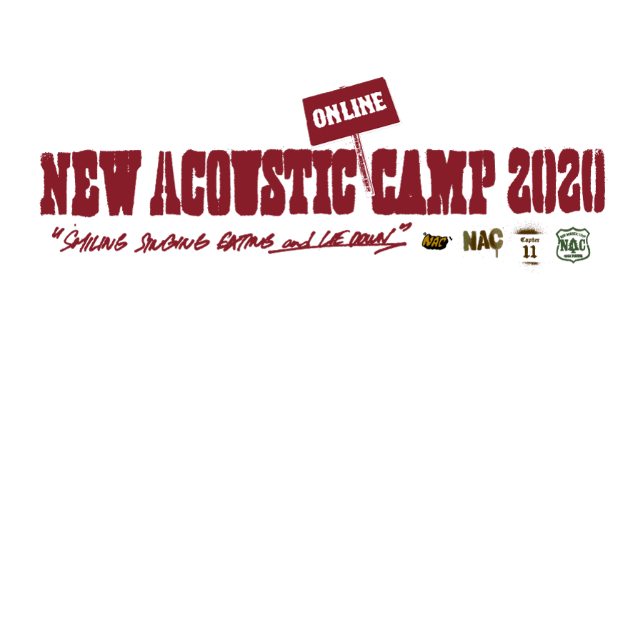 New Acoustic Online Camp 2020